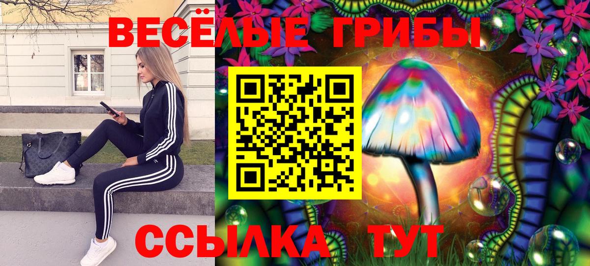 Кувандык  Галлюциногенные грибы прущие грибы  Вход с VPN 