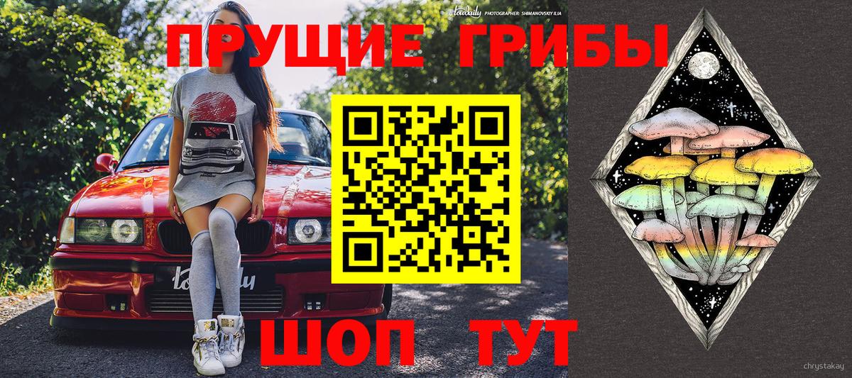 Псилоцибиновые грибы GOLDEN TEACHER Кувандык