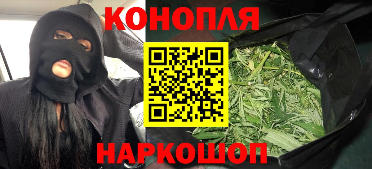 Бошки Шишки гибрид  Канабис сатива  Кувандык  Вход с VPN 